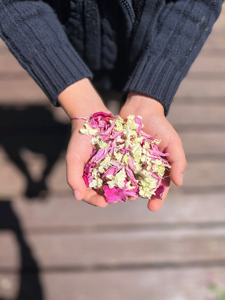 Handful of pink and white flower confetti