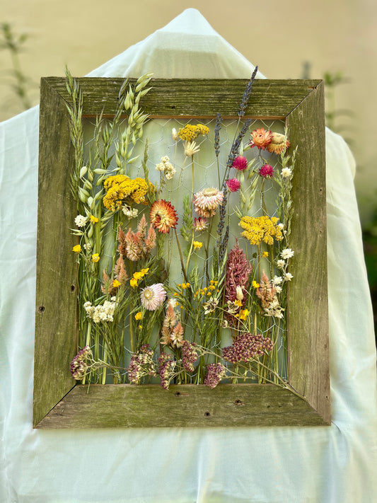 The Hogshooter Everlasting Meadow