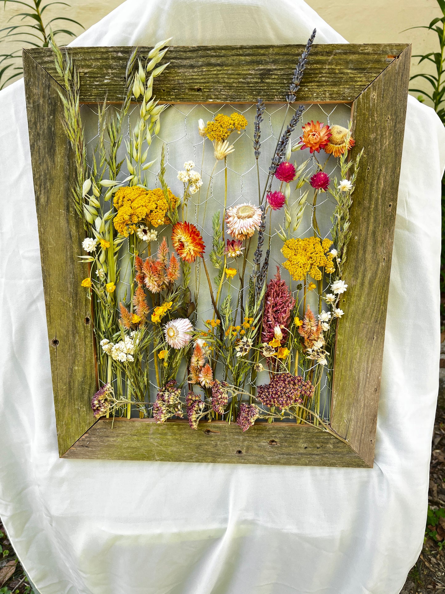 The Hogshooter Everlasting Meadow