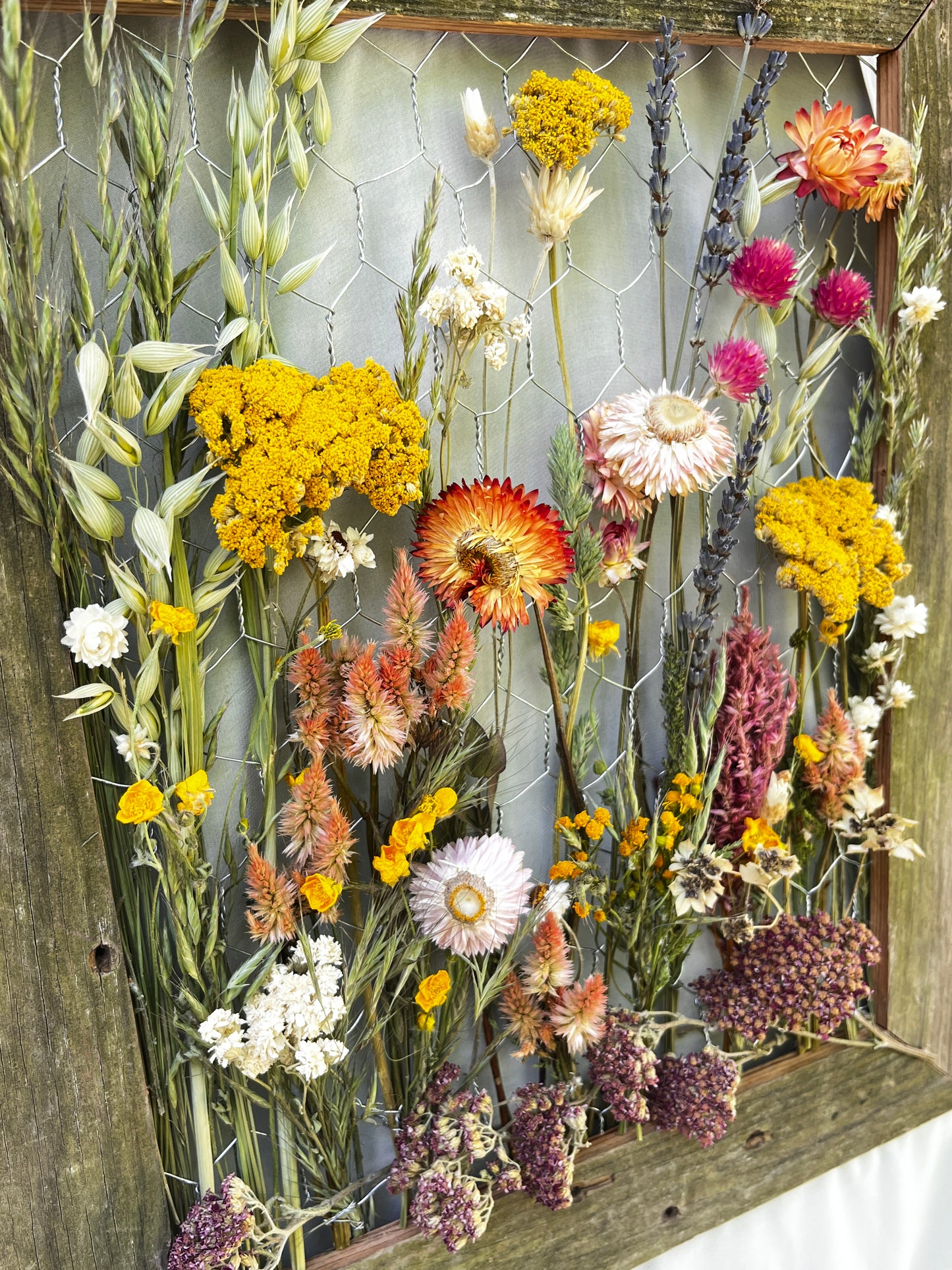 The Hogshooter Everlasting Meadow